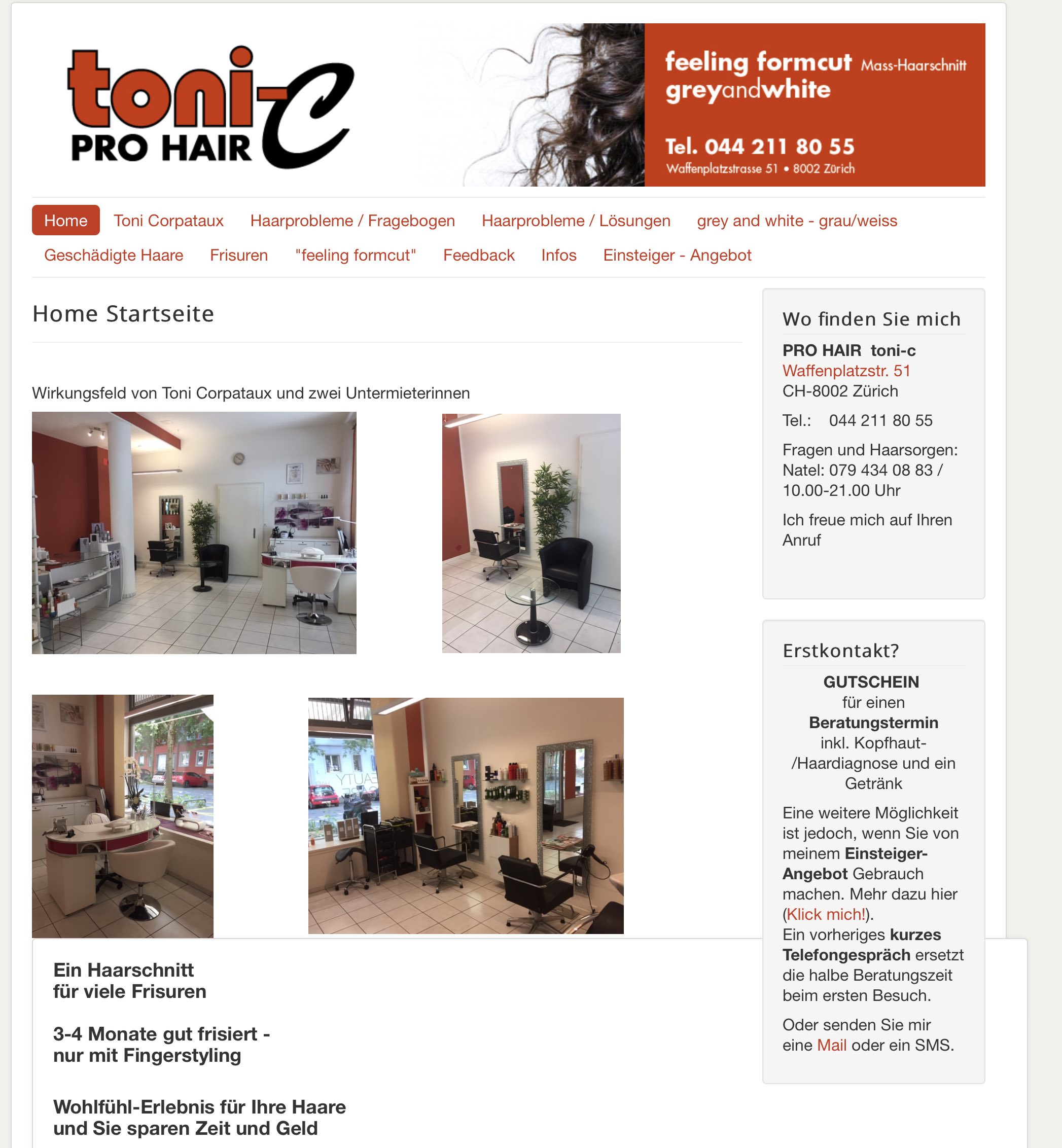 Dogdance-Trainingsshow