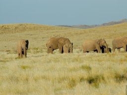 Namibia2006-045