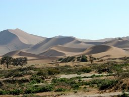 Namibia2006-023