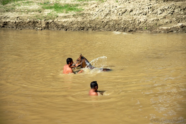 Asien14 Burma 98