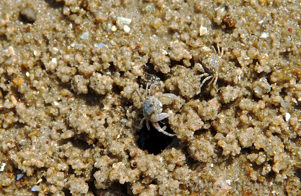 Asien14 Thailand2 110