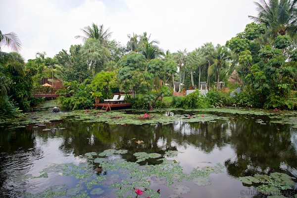 Asien14 Thailand2 118