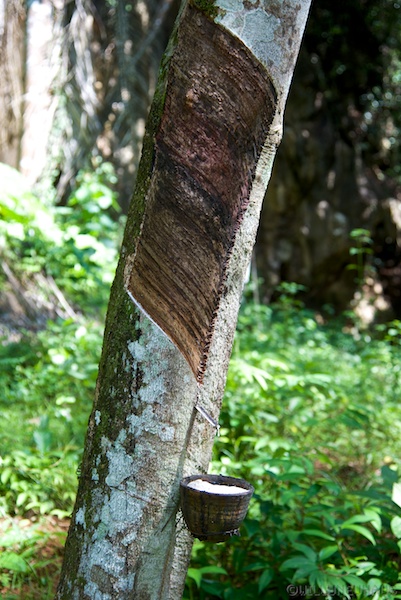 Asien14 Thailand2 19