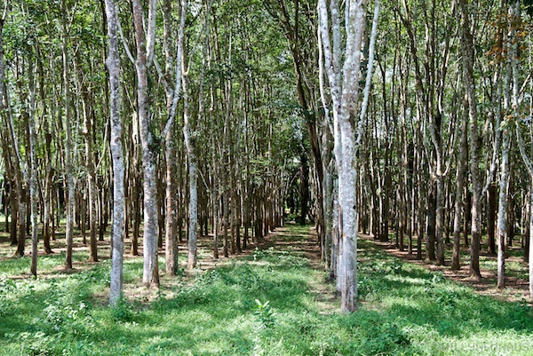 Asien14 Thailand2 20