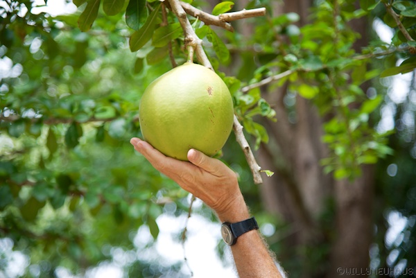 Asien14 Thailand2 23