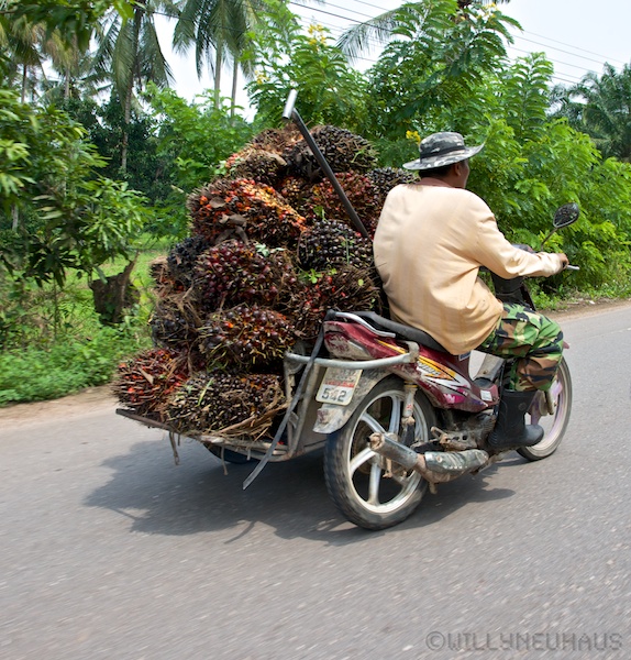 Asien14 Thailand2 42