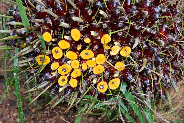 Asien14 Thailand2 50