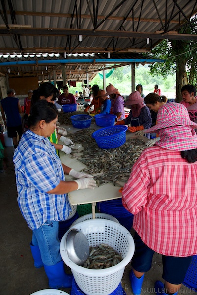 Asien14 Thailand2 59