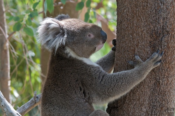 AustraliaPerth 10  072