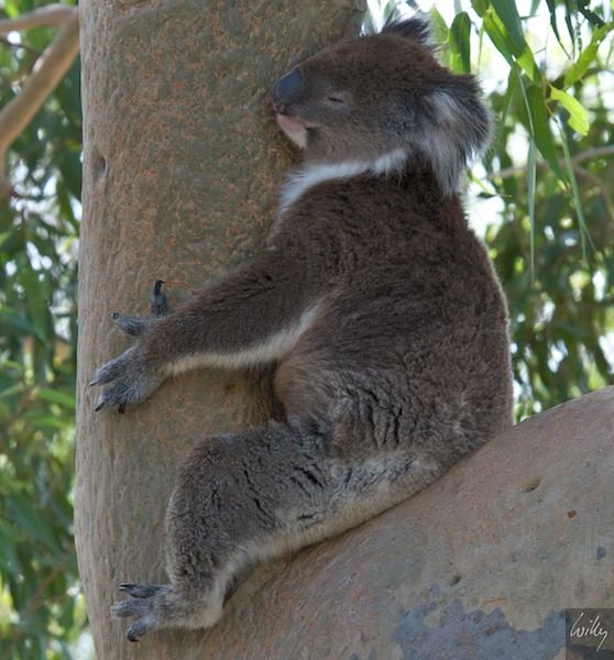 AustraliaPerth 10  074