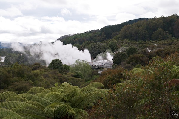 New Zealand 09 10  127