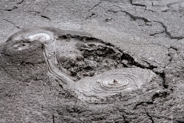 New Zealand 09 10  131