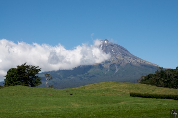 New Zealand 09 10  134