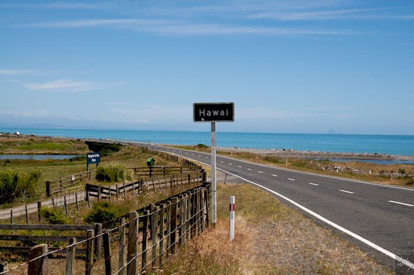 NewZealand 09 10  027