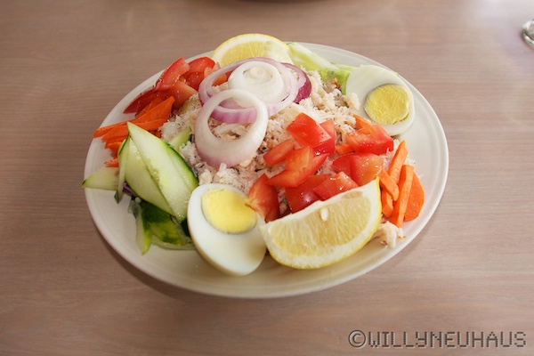 SantaCruzDolphin 001