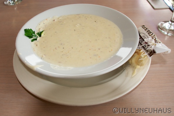 SantaCruzDolphin 002