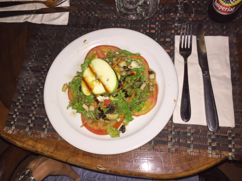 ElAvionManuelAntonioCostaRica 3