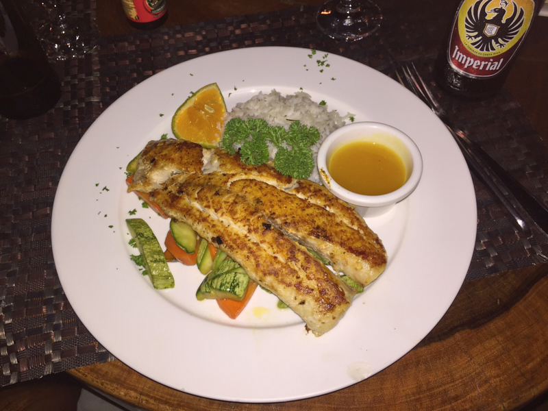 ElAvionManuelAntonioCostaRica 6