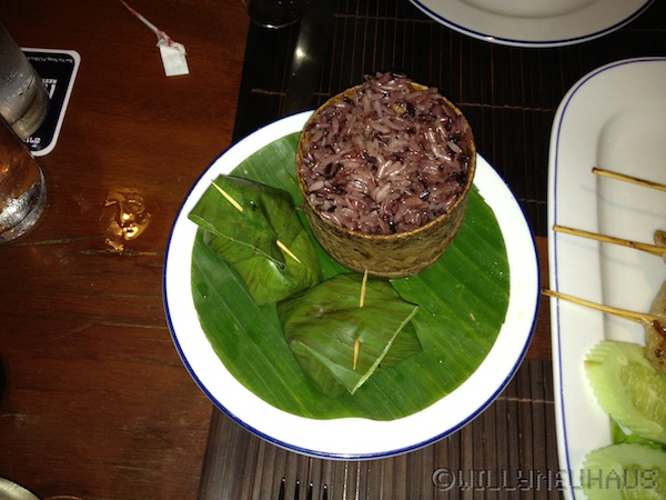 ElephantLuangPrabang 004