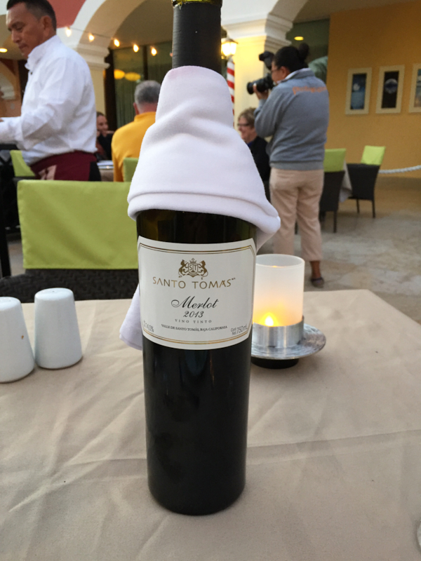 OcenaCoralTurquesaPuertoMorelos 004