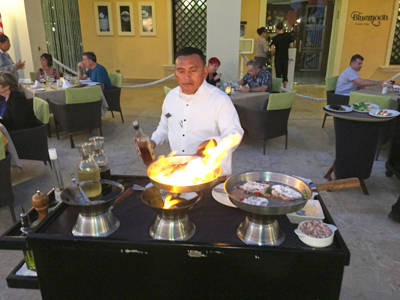 OcenaCoralTurquesaPuertoMorelos 005