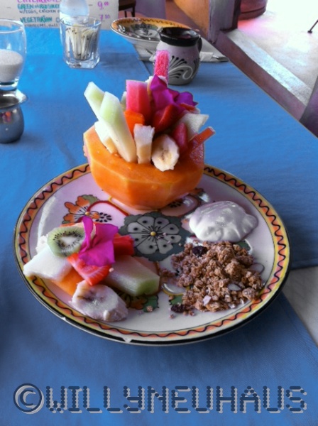 Sharky Cantina Cabo San Lucas 1