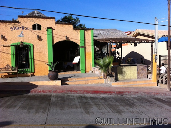 Sharky Cantina Cabo San Lucas 2