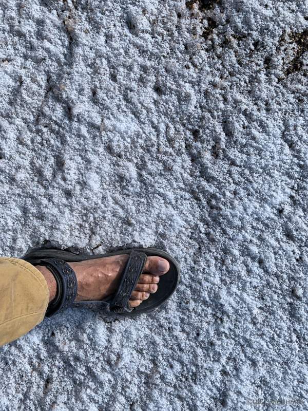 LaucaNationalparkChile