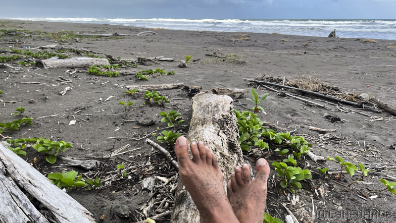 TortugueroNPCostaRica