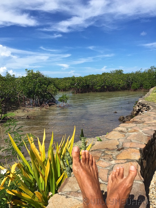 VoliVoliBeachResortFiji1