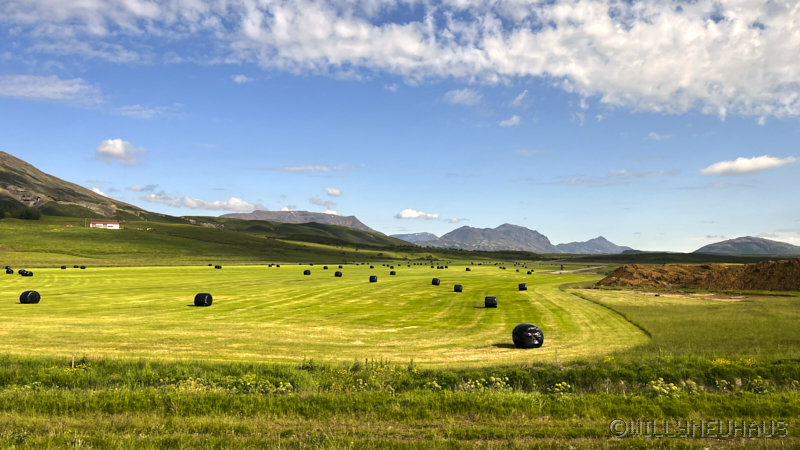 IslandGrönland23 030