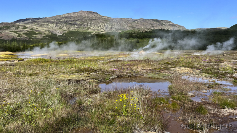 IslandGrönland23 032