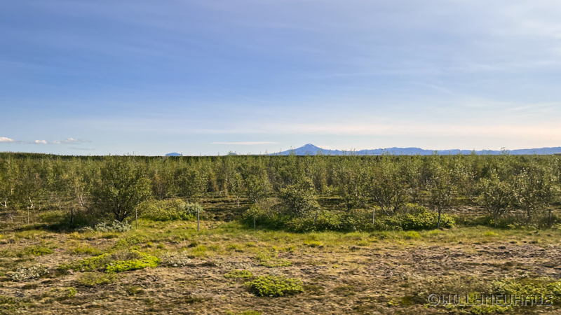 IslandGrönland23 044