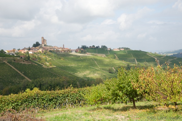Piemont2013 23