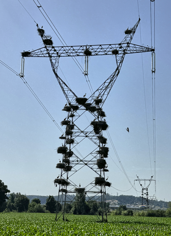 Portugal 26 052