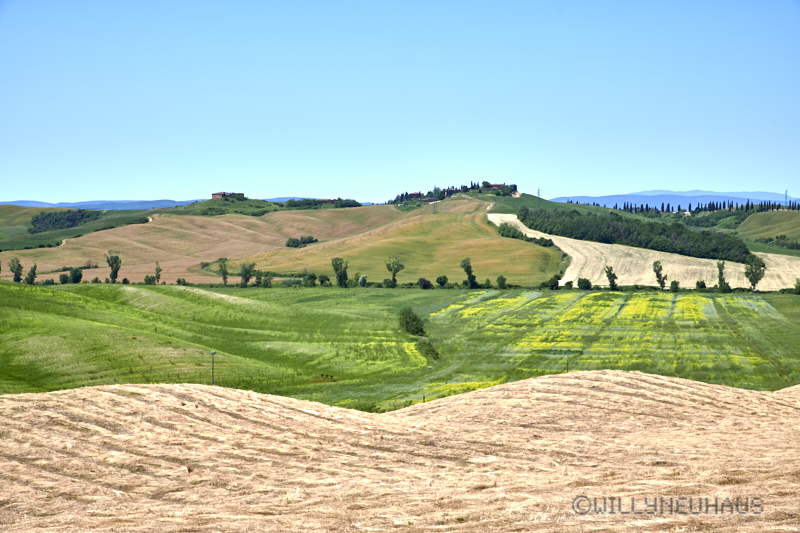 Toscana19 34
