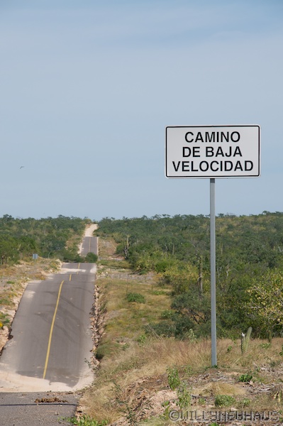 USA Mexico 12 036