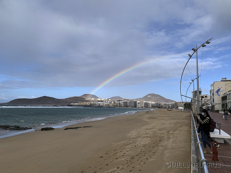 Canarias 20   193