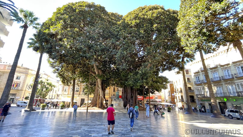 CBDA72A7 9AA7 4DA8 B095 01B9E6C596DC