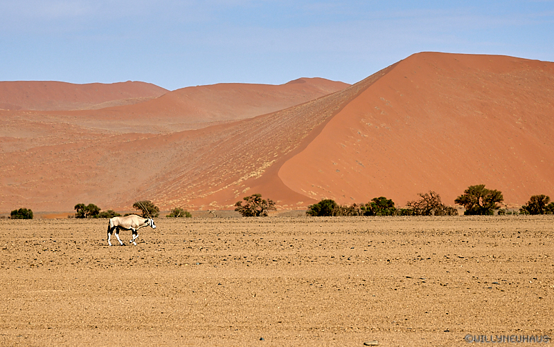 Namibia 17 043