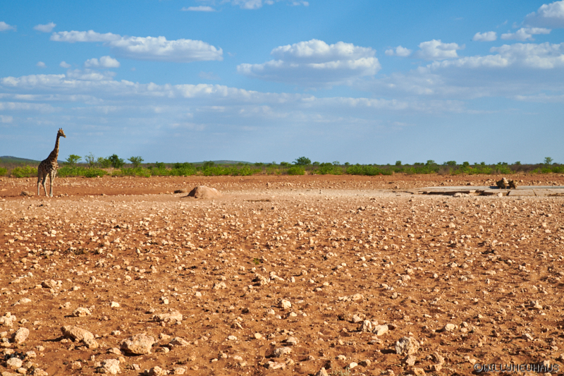 Namibia18 163