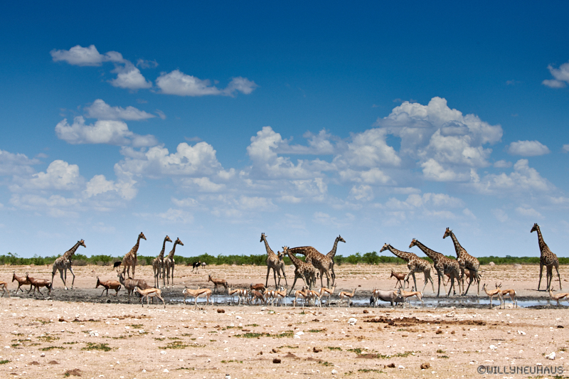 Namibia18 183