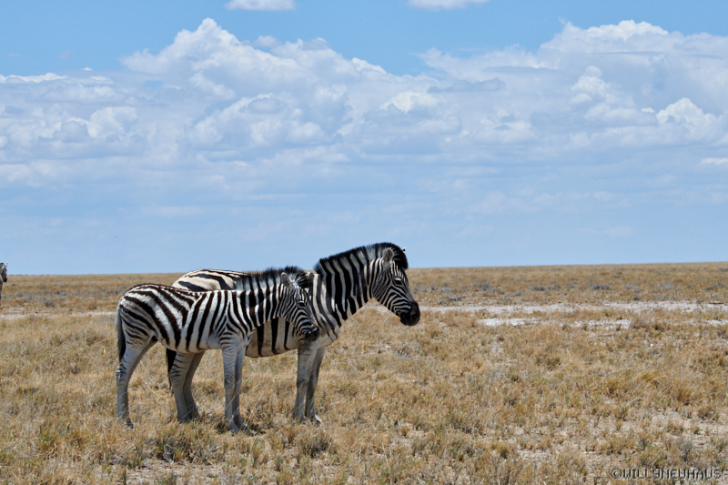 Namibia18 233
