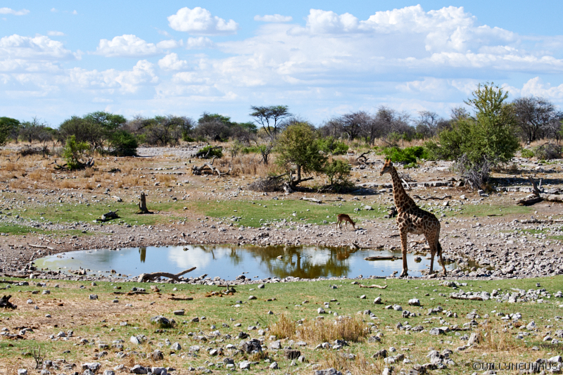 Namibia18 249