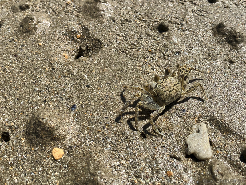 Thailand19allein 093