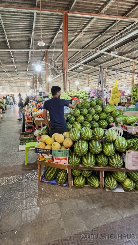 CruiseTriesteDurban23 078