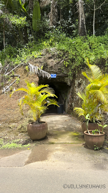 CruiseTriesteDurban23 107