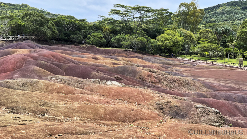 CruiseTriesteDurban23 106