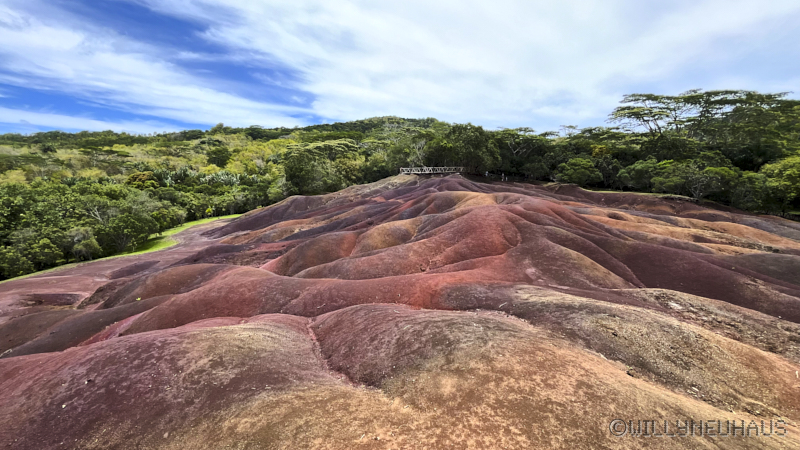 CruiseTriesteDurban23 107