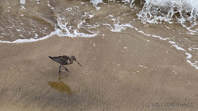 CruiseBarcelonaBuenosAires060